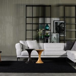 celeste living room image